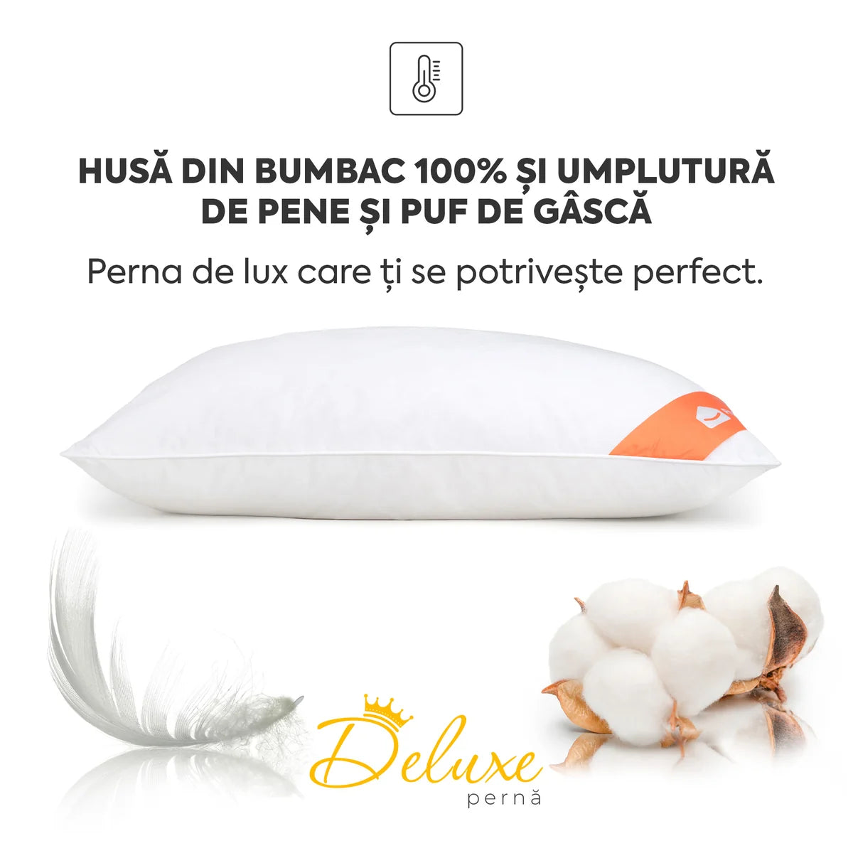 Pachet Saltea 160x200 Deluxe Double