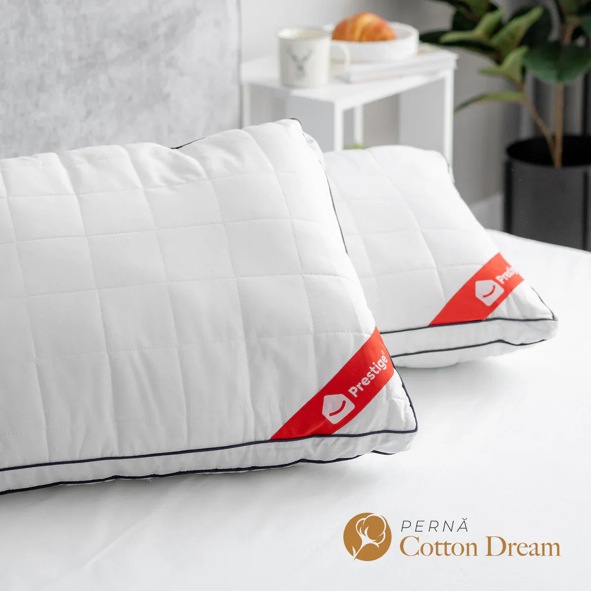 Set Topper Memory 160 x 200 Cotton Dream Double