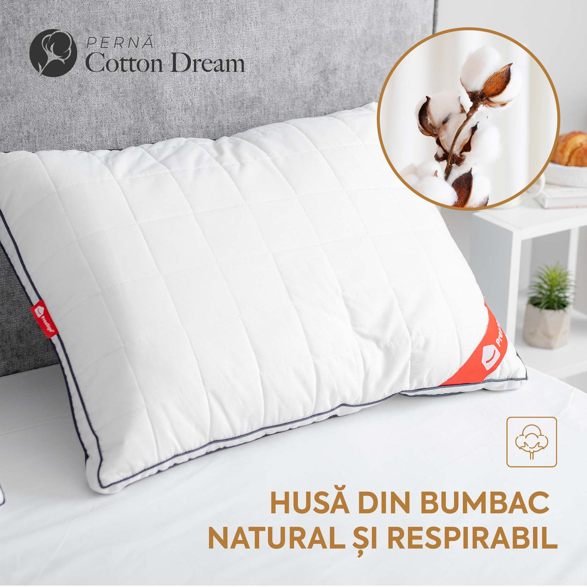 Set 4 x Perne Cotton Dream cu microfibră, husă bumbac, 50x70 cm-Seturi Perne-Prestige Home-Prestige Home