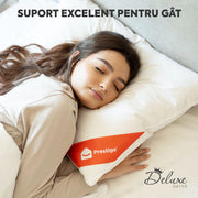 Set 2 x Perne Deluxe cu pene și puf de gâscă, husă bumbac, 50x70 cm-Seturi Perne-Prestige Home-Prestige Home