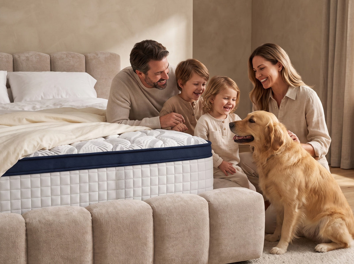 Experienta Ideal Sleep